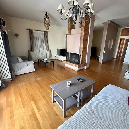 City Center Apartment 普雷韦扎 外观 照片